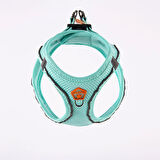 Pawstar Air-Mesh Mint Köpek Göğüs Tasması