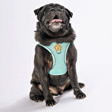 Pawstar Air-Mesh Mint Köpek Göğüs Tasması