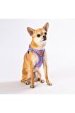 Pawstar Lila Air-mesh Göğüs Tasması Kedi Köpek Göğüs Tasması Medium