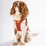 Pawstar Air-Mesh Terracotta Köpek Göğüs Tasması
