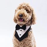 Pawstar Siyah Smokin Kedi/Köpek Fuları