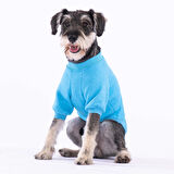 Pawstar Turkuaz Power Polarlı Küçük Irk Köpek Sweatshirtü