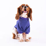 Pawstar Mor Power Polarlı Küçük Irk Köpek Sweatshirtü