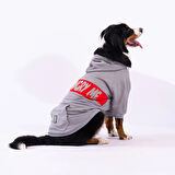 Pawstar Gri Angry Orta-Büyük Irk Köpek Fermuarlı Sweatshirt