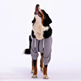 Pawstar Gri Angry Orta-Büyük Irk Köpek Fermuarlı Sweatshirt
