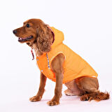 Pawstar Neon Orange Railway Vest Köpek Montu 2XLarge 38x43x58 cm