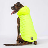 Pawstar Railway Neon Sarı Su İtici Orta-Büyük Irk Köpek Yelek Yağmurluk