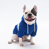 Pawstar Mavi Cute Polarlı Küçük Irk Köpek Sweatshirtü