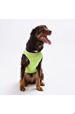 Pawstar Yeşil Shark Büyük Köpek Tişörtü - Köpek Kıyafeti (15 KG-45 KG) 6 XL