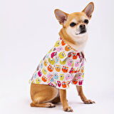 Pawstar Owls Kedi ve Küçük Irk Köpek Gömleği