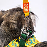 Pawstar Air-Mesh Cactus Köpek Göğüs Tasması