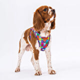 Pawstar Air-Mesh Puzzle Köpek Göğüs Tasması
