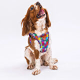 Pawstar Air-Mesh Puzzle Köpek Göğüs Tasması