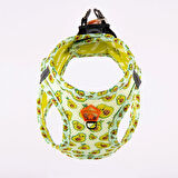 Pawstar Air-Mesh Avocado Köpek Göğüs Tasması