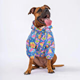 Pawstar Dinosaurum Fileli Su Geçirmez Orta-Büyük Irk Köpek Yağmurluğu