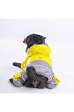 Pawstar Köpek Yellow-Grey Bicolor Rompers M Sırt28cm Göğüs41cm Boyun26cm