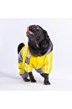 Pawstar Köpek Yellow-Grey Bicolor Rompers M Sırt28cm Göğüs41cm Boyun26cm