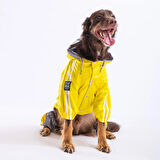 Pawstar BiColor Sarı-Gri Polarlı Su Geçirmez Orta-Büyük Irk Köpek Yağmurluk Tulum