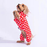 Pawstar Dots Red Peluşlu Su Geçirmez Küçük Irk Köpek Yağmurluk Tulum
