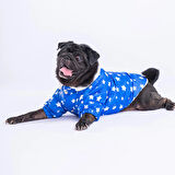 Pawstar Stars Blue Peluşlu Su Geçirmez Küçük Irk Köpek Yağmurluğu