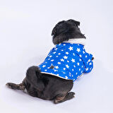 Pawstar Stars Blue Peluşlu Su Geçirmez Küçük Irk Köpek Yağmurluğu