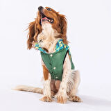 Pawstar Yeşil Diametro Su Geçirmez Küçük Irk Köpek Yağmurluğu