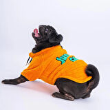 Pawstar Turuncu Cool Sweet Küçük Irk Köpek Pofuduk Sweatshirt