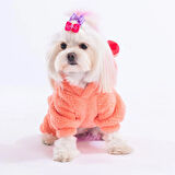 Pawstar Somon Koala Peluş Küçük Irk Köpek Tulumu