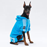 Pawstar Turkuaz Tuta Orta-Büyük Irk Köpek Tulumu