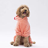 Pawstar Somon Koala Peluş Orta-Büyük Irk Köpek Tulumu