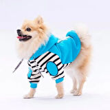 Pawstar Turkuaz Lucky Club Polarlı Küçük Irk Köpek Sweatshirtü