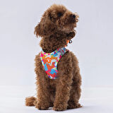 Pawstar Air-Mesh Mosaic Köpek Göğüs Tasması