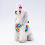 Pawstar Air-Mesh Ducks Köpek Göğüs Tasması