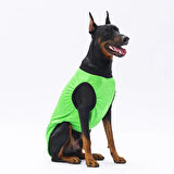 Pawstar Green Travel Orta-Büyük Irk Köpek T-shirtü