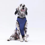 Pawstar Lacivert Travel Orta-Büyük Irk Köpek T-shirtü