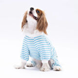 Pawstar Mavi Just More Küçük Irk Köpek Penye Tulum Pijama