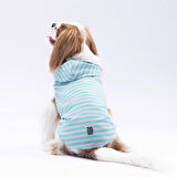 Pawstar Aqua Sunny Küçük Irk Köpek Penye T-shirtü