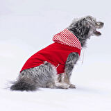 Pawstar Kırmızı Gingham Küçük Irk Köpek Polo T-shirtü