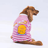Pawstar Fuşya Let me Sleep Küçük Irk Köpek Tulumu