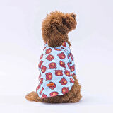 Pawstar Bear Kedi ve Küçük Irk Köpek Gömleği