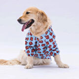 Pawstar Bear Orta-Büyük Irk Köpek Gömleği
