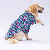 Pawstar Çiçekli Orta-Büyük Irk Köpek Gömleği