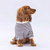 Pawstar Siyah Let me Sleep Küçük Irk Köpek Penye Tulum Pijama