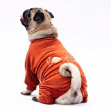 Pawstar Kiremit Bonjour Kadife Küçük Irk Köpek Tulumu