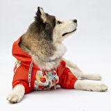 Pawstar Ottawa Polarlı Su Geçirmez Orta-Büyük Irk Köpek Yağmurluğu