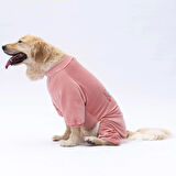 Pawstar Rose Bonjour Kadife Orta-Büyük Irk Köpek Tulumu