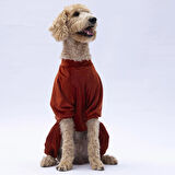 Pawstar Kiremit Bonjour Kadife Orta-Büyük Irk Köpek Tulumu