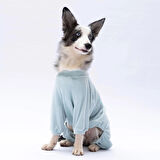 Pawstar Mint Bonjour Kadife Orta-Büyük Irk Köpek Tulumu