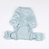 Pawstar Mint Bonjour Kadife Orta-Büyük Irk Köpek Tulumu