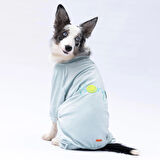 Pawstar Mint Bonjour Kadife Orta-Büyük Irk Köpek Tulumu